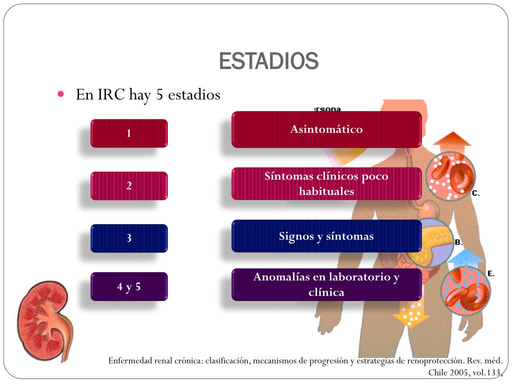 Enfermedad Renal Cronica Estadios