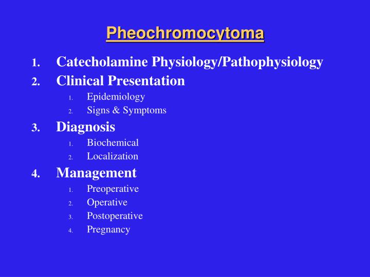 PPT - Pheochromocytoma PowerPoint Presentation - ID:2241302
