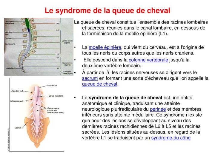 PPT Cours 3 PowerPoint Presentation ID2241323