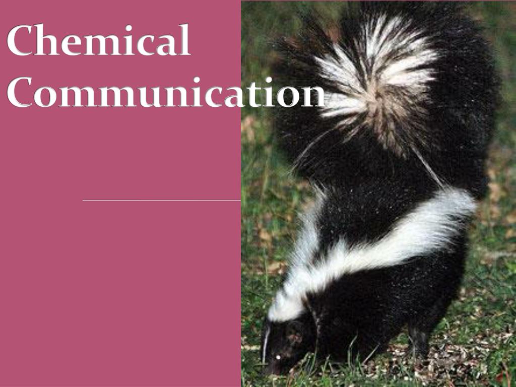 PPT - Chemical Communication PowerPoint Presentation, free download -  ID:2241426