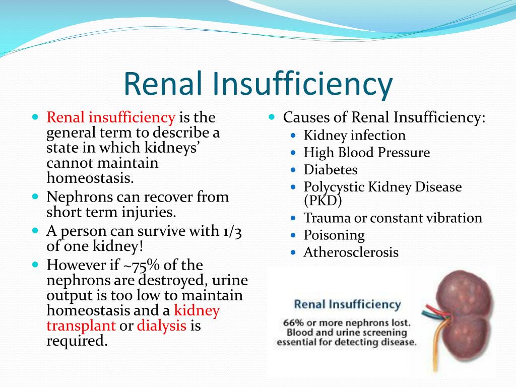 what is renal insufficiency
