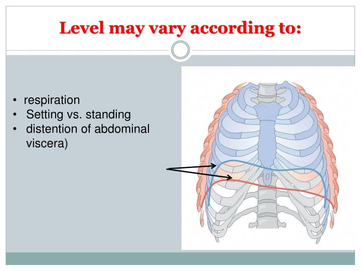 PPT - Diaphragm PowerPoint Presentation - ID:2241745