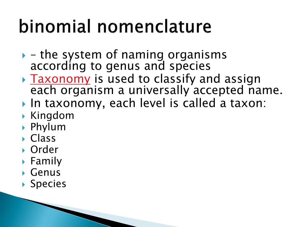Accepted name. Binomial nomenclature. Binomials in English. Английский язык binominal. Binomial expressions.
