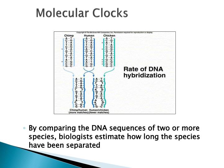 PPT Classification PowerPoint Presentation ID2241801