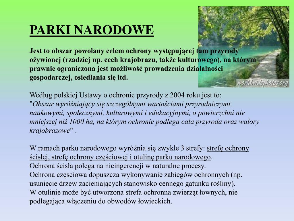 Jedna Z Form Ochrony Przyrody PPT - Formy ochrony przyrody PowerPoint Presentation, free download