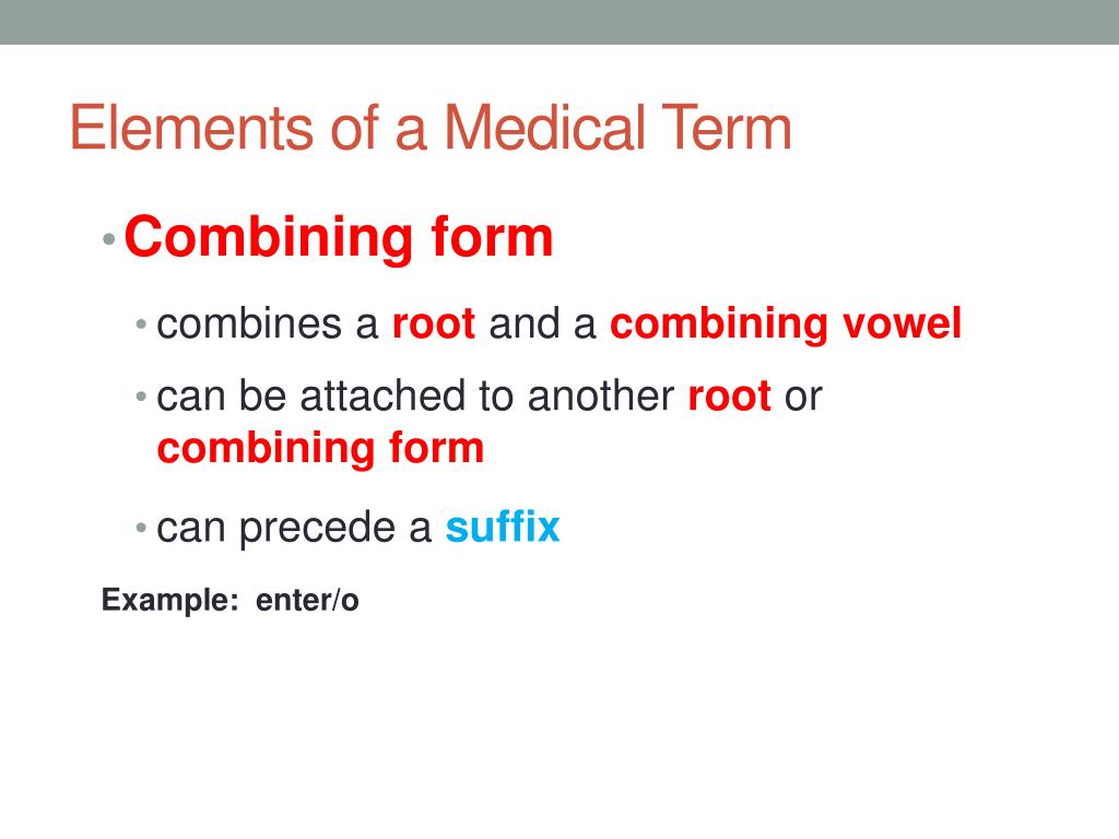 Ppt Med 103 Medical Terminology Powerpoint Presentation Free Download Id