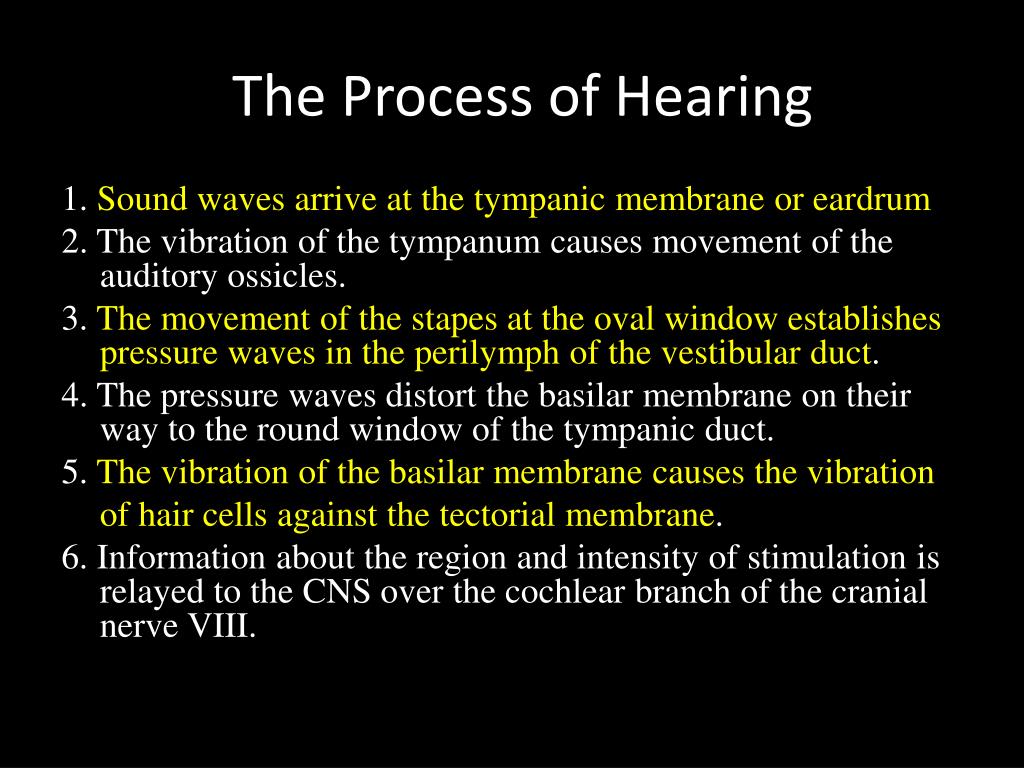 PPT - The Ear Parts, Functions and Hearing Process PowerPoint