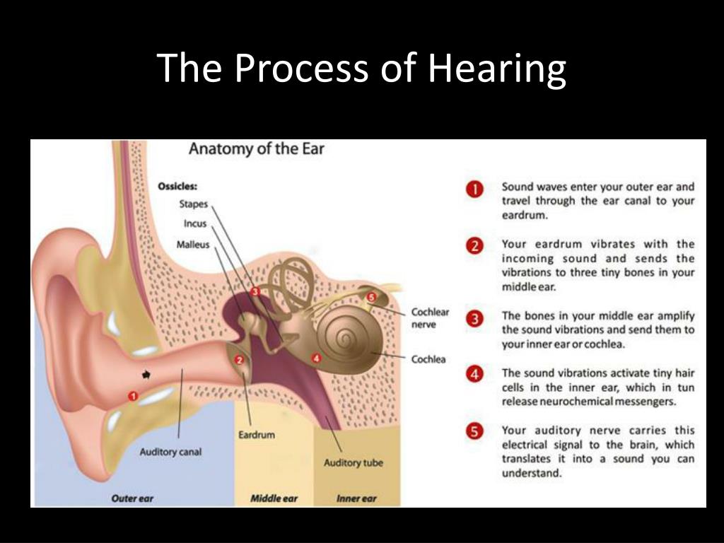 what is a presentation hearing