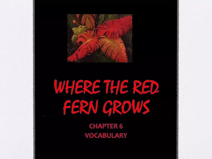 where the red fern grows n.