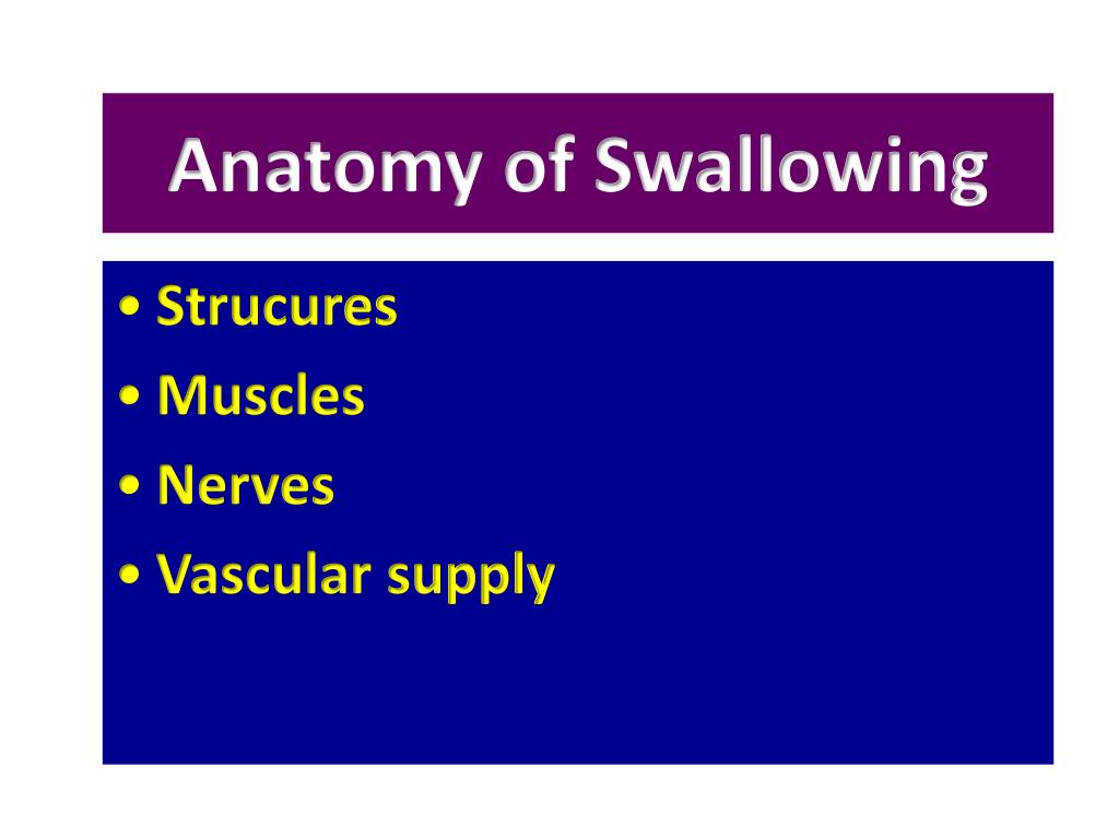Anatomy of Swallowing PowerPoint Presentation, free download Biology Diagrams