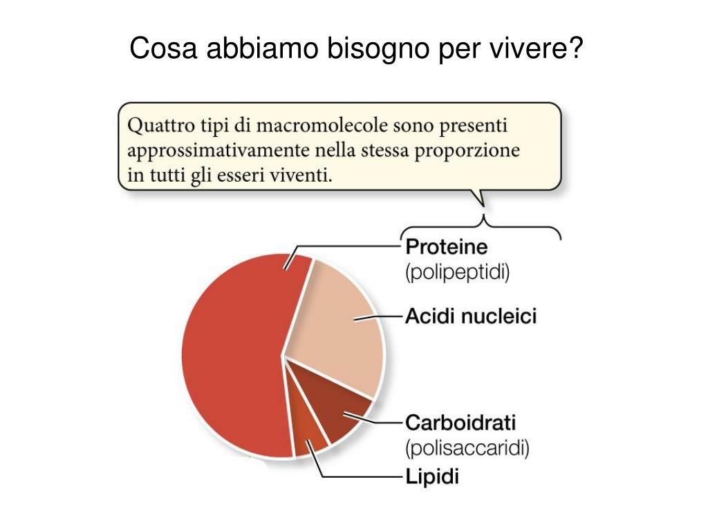 Download PDF - Pontificia Università Urbaniana, image size:1024x768