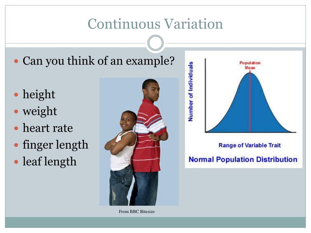 Ppt 55 Variation And Evolution Powerpoint Presentation Free