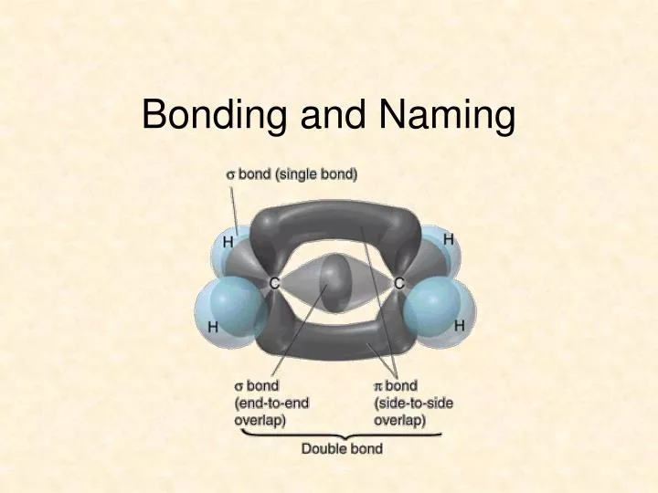 bonding and naming n.