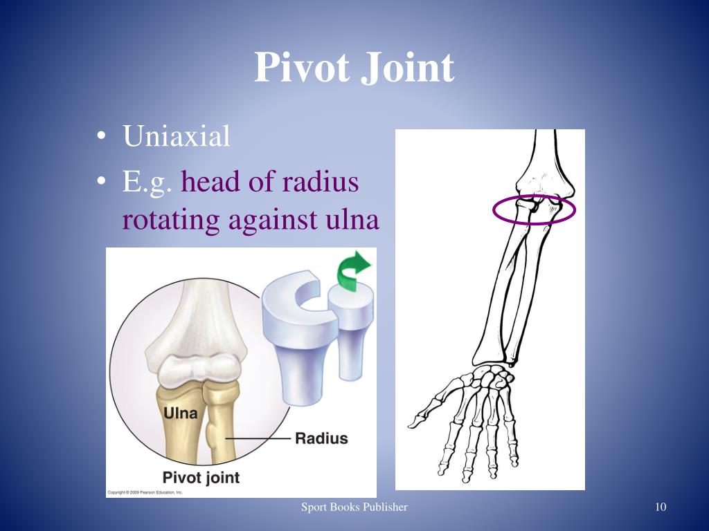 PPT Joints Of The Human Body PowerPoint Presentation Free Download ppt-joints-of-the-human-body-powerpoint-presentation-free-download