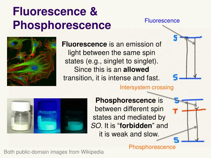 PPT Lecture 22 Spinorbit Coupling PowerPoint Presentation ID2245815 
