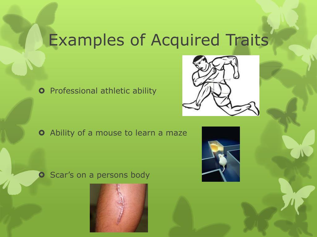 ppt traits powerpoint presentation id 2246251 acquired traits
