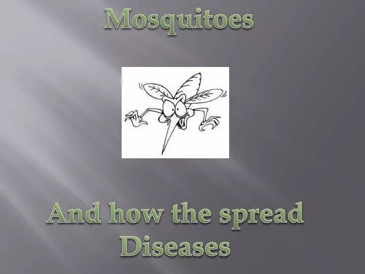 mosquito powerpoint template free