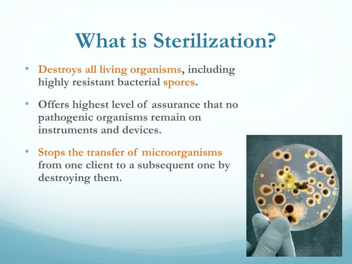 PPT - Sterilization And Proper Use Of Autoclaves PowerPoint ...