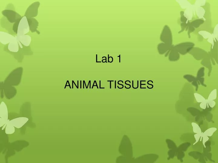 PPT - Lab 1 ANIMAL TISSUES PowerPoint Presentation, free download -  ID:2246944