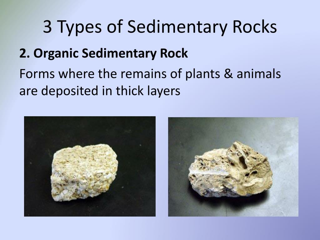 PPT - Sedimentary Rocks PowerPoint Presentation, free download - ID:2247029