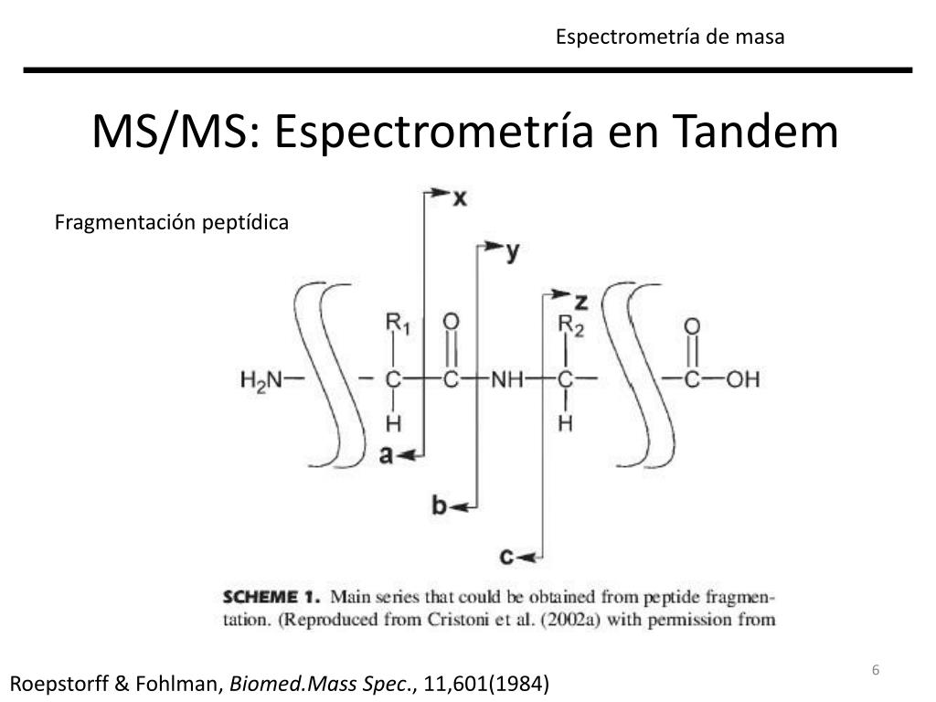 PPT - MS/MS Espectrometría en Tándem: Información estructural de pequeñas  moléculas PowerPoint Presentation - ID:2248372
