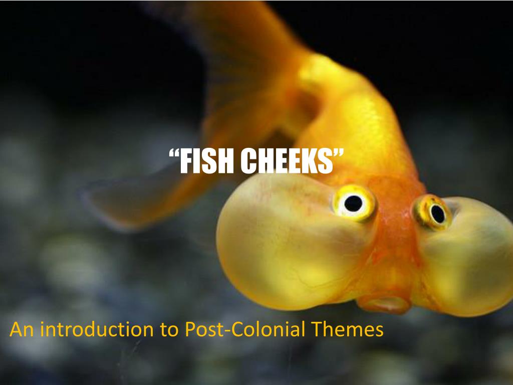Ppt Fish Cheeks Powerpoint Presentation Free Download Id 2248782