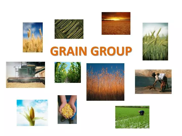 grain group n.