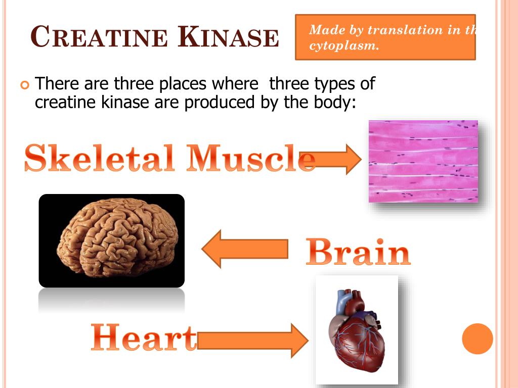 PPT Designing Molecules PowerPoint Presentation, free download ID2250300