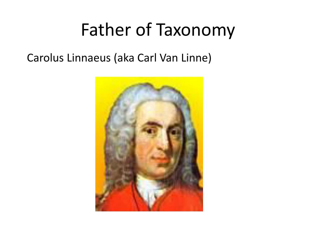 PPT - Father of Taxonomy PowerPoint Presentation, free download - ID:2250622