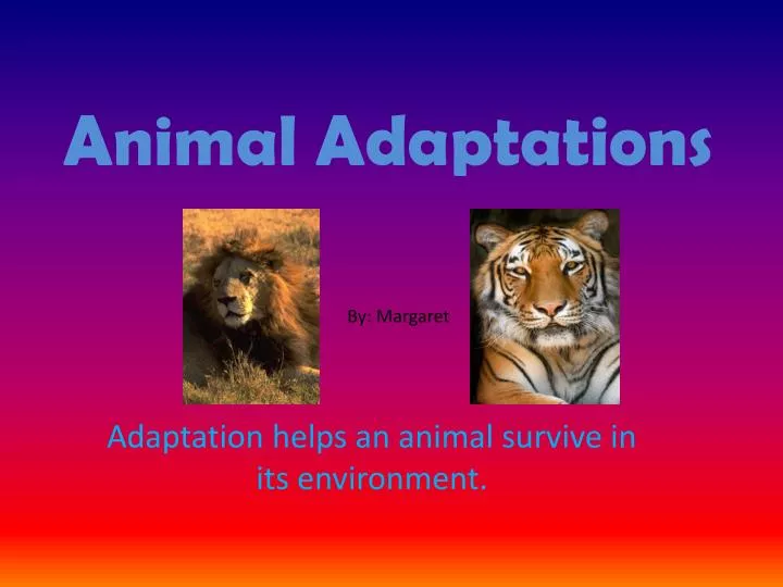 PPT - Animal Adaptations PowerPoint Presentation, free download - ID:2251030