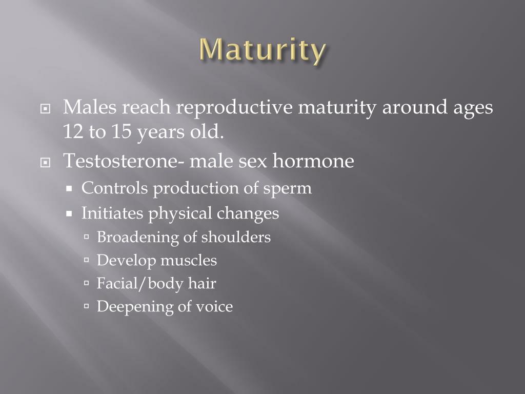 PPT - Male Reproductive System PowerPoint Presentation, free download
