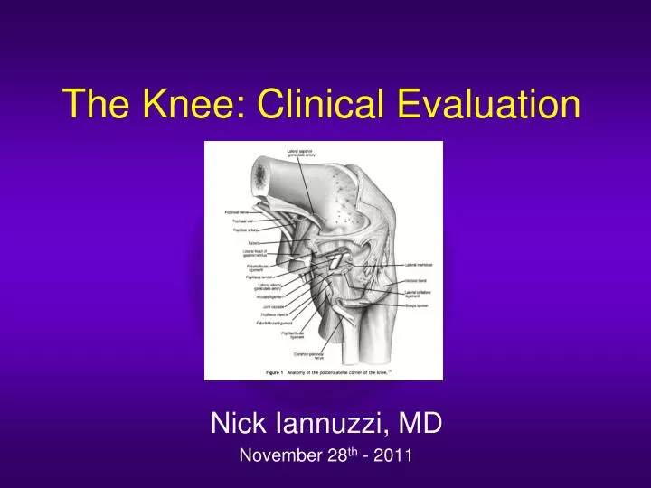 Ppt The Knee Clinical Evaluation Powerpoint Presentation Free