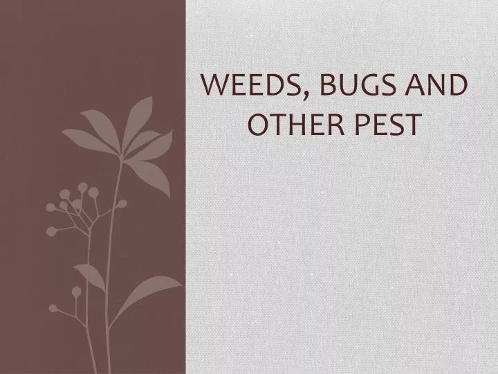 PPT Weeds, Bugs and other Pest PowerPoint Presentation, free download