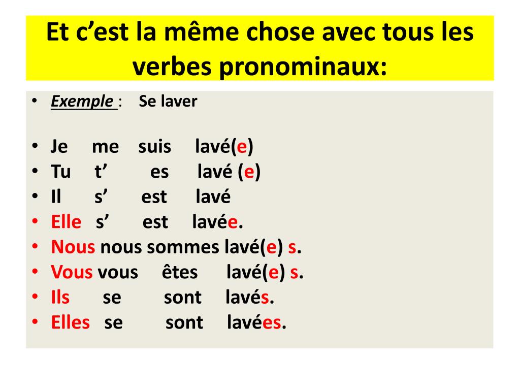 Verbe Rendre Au Passé Composé  Communauté MCMS