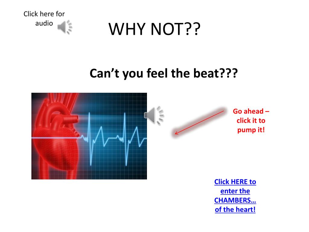 Ppt The Human Heart Powerpoint Presentation Free Download Id 2254677