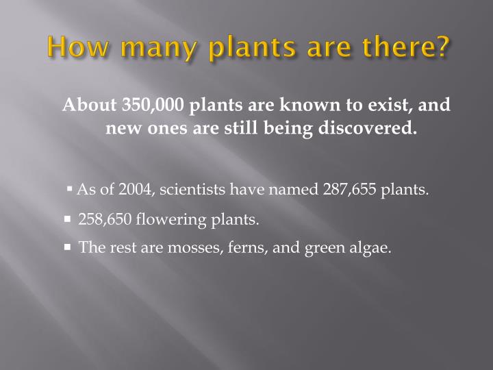 PPT Plant Classification PowerPoint Presentation ID2254991
