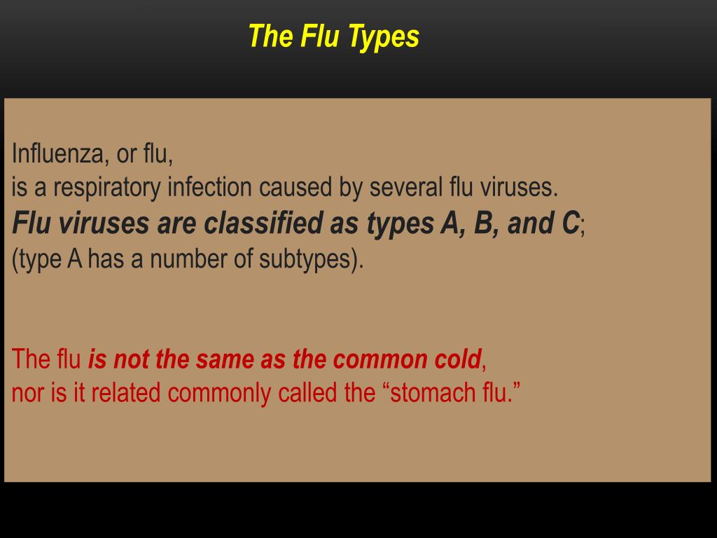 PPT - Influenza, or flu, is a respiratory infection caused by several ...