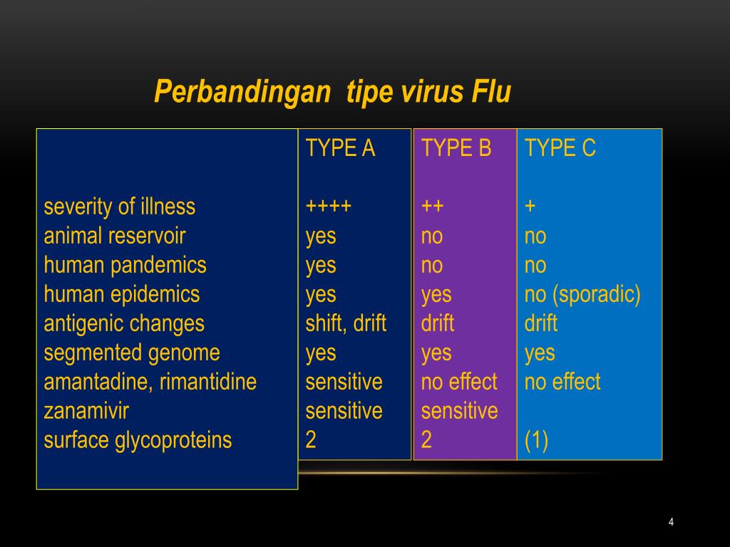 PPT - Influenza, or flu, is a respiratory infection caused by several ...