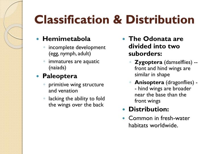 the taxonomy and distribution of dragonflies Odonata of india (wwwindianodonata in insect taxonomy, species revisions are inevitable recently, bedjanic and colleagues revised all species in the family platystictidae -mitra et al (2010) the status and distribution of dragonflies and damselflies (odonata. the taxonomy and distribution of dragonflies Odonata of india (wwwindianodonata in insect taxonomy, species revisions are inevitable recently, bedjanic and colleagues revised all species in the family platystictidae -mitra et al (2010) the status and distribution of dragonflies and damselflies (odonata.