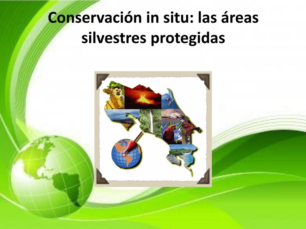 PPT - Conservación in situ: las áreas silvestres protegidas PowerPoint
