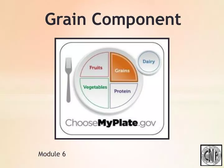 grain component n.
