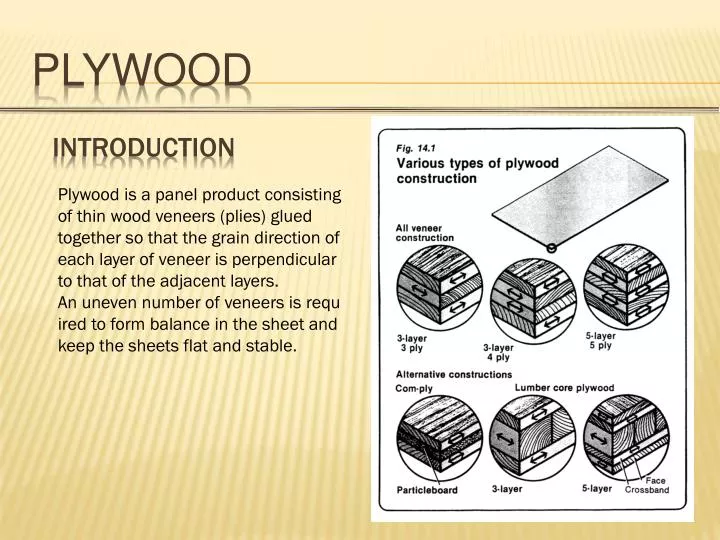 PPT - PLYWOOD PowerPoint Presentation, free download - ID:2256178