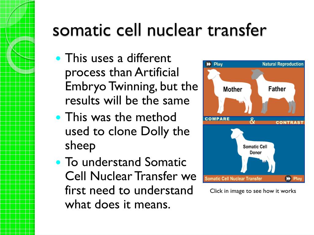 PPT New Reproductive Technology PowerPoint Presentation Free 