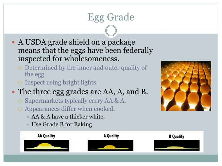 PPT - The Structure of Eggs PowerPoint Presentation - ID:2258340