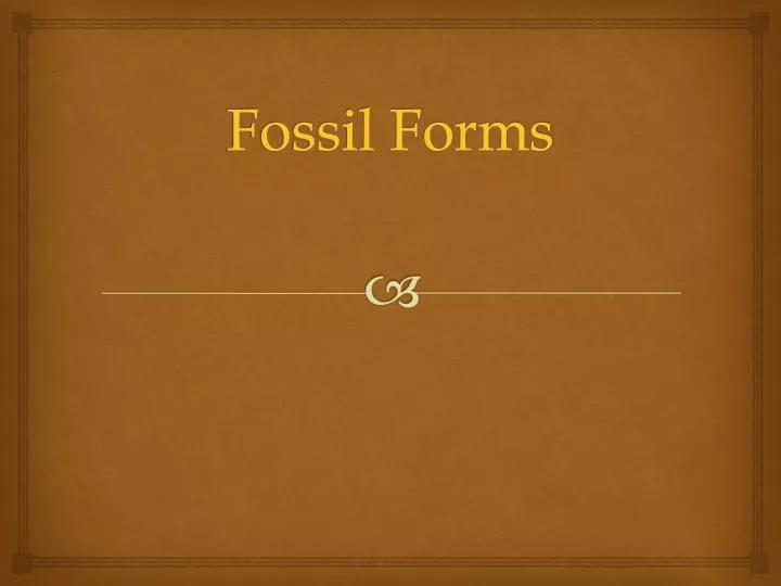 fossil forms n.