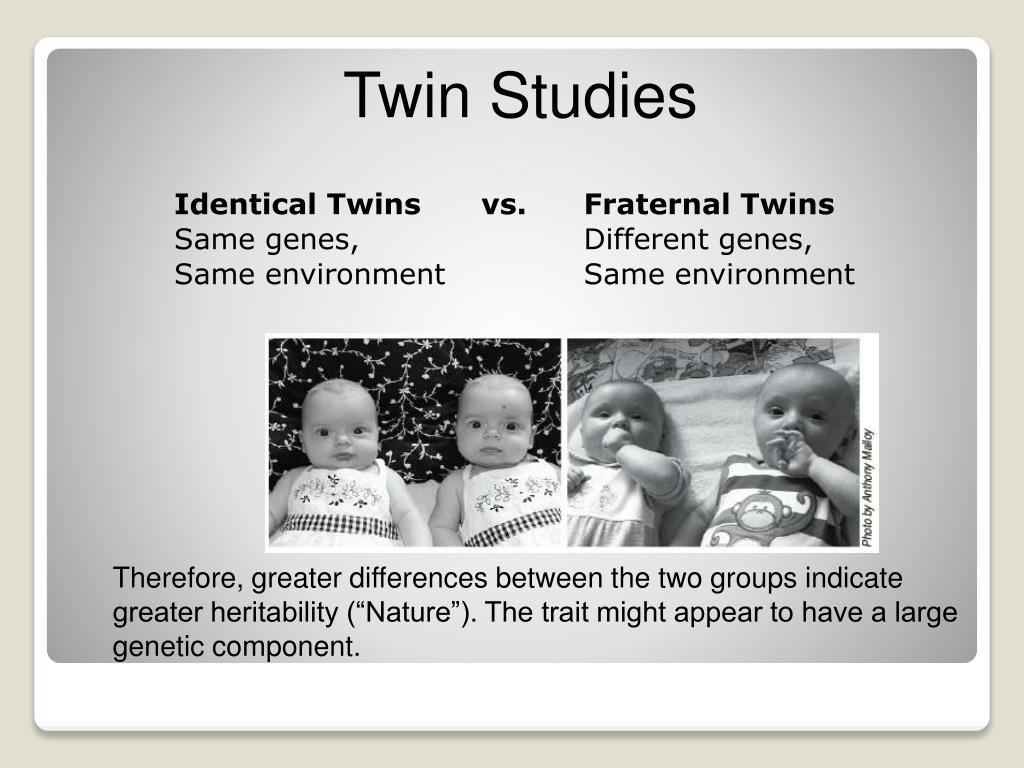 psychology research twin studies