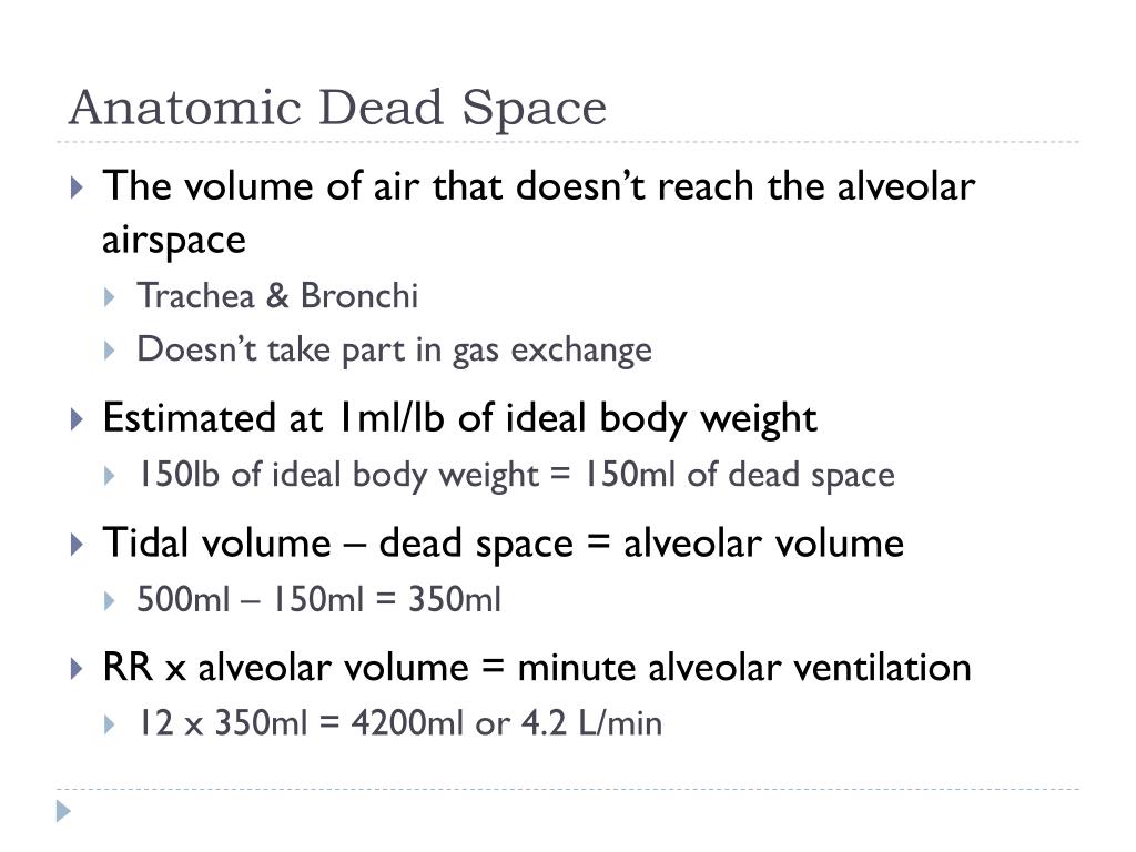anatomical dead space includes