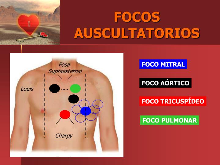 PPT SOPLOS CARD ACOS PowerPoint Presentation ID 2259302 ppt-soplos-card-acos-powerpoint-presentation-id-2259302