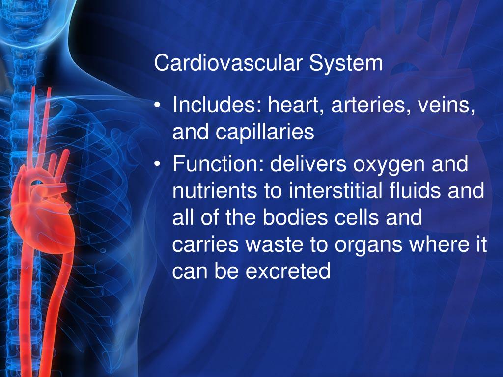 Ppt Cardiovascular Powerpoint Presentation Free Download Id 2259616