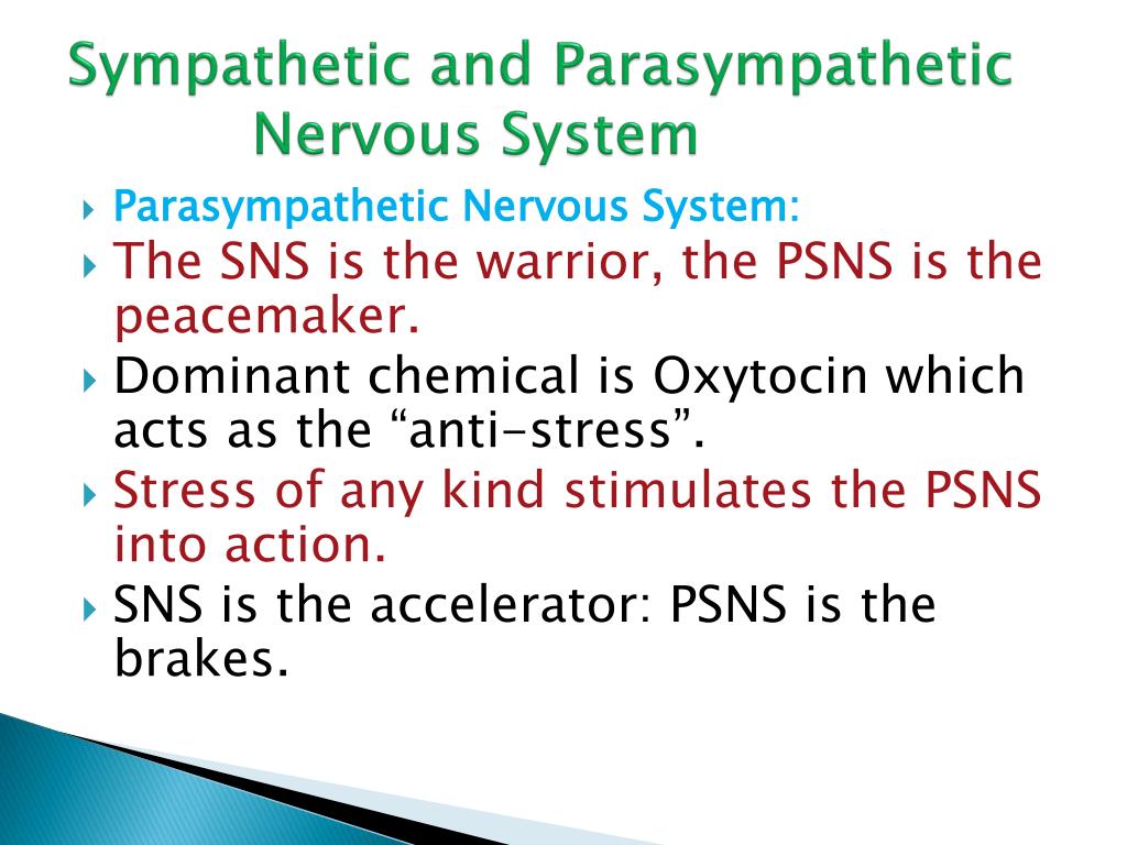 overactive adrenal system overactive adrenal system